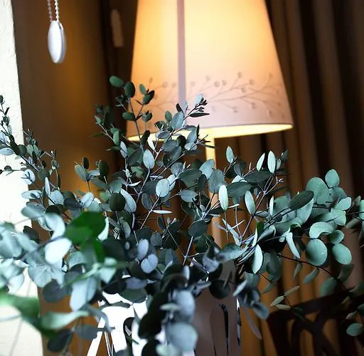 Relax Hotell Craiova